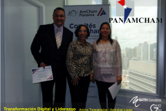 AMCHAM PA-2