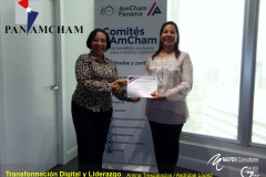 AMCHAM PA-6